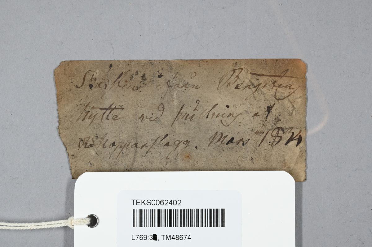Prov av råkopparlsagg, svart, brunaktig. Tillhörande lapp med notering: "...(?) från Berg..(?) hytte vid smältning af Råkopparslagg, mars 1834".