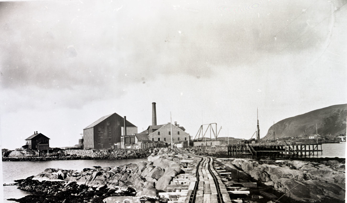 Bilde tatt fra den gamle moloen ut mot Neptun Sildoljefabrikk. Moloen ble bygget på slutten av 1920-tallet. Administrasjonbygget fr 1912 helt til venstre. Den store trebygningen er det gamle mellageret som brant i 1946.