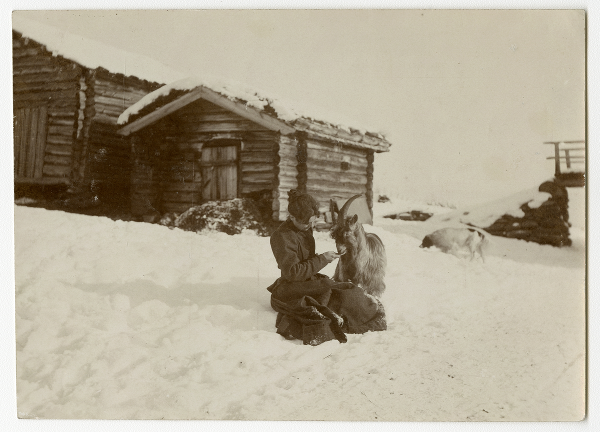 Portrettfoto av ukjent kvinne som sitter i snø og mater en bukk. I bakgrunnen kan man se en hytte og en hund. Antagelig tatt på 1890-tallet