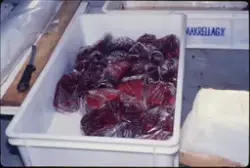 Ferdig innpakkede hvalbiffer er klare for nedfrysing.