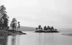 Fra Hurdalssjøen i Akershus våren 1939. Fotografiet er tatt 