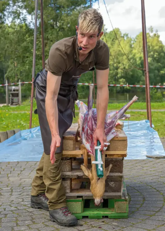 Mann demonstrerer flåing av rådyr på De nordiske jakt- og fiskedagene