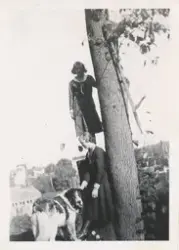 I et tre med utsikt over deler av Bryn har en kvinne klatret