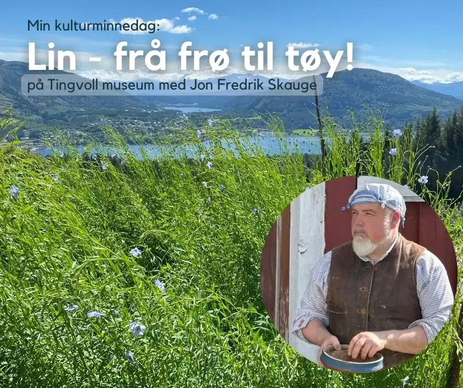 Plakat med bilde av linplanter med Tingvoll sentrum i bakgrunnen