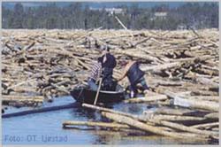 Fløting i Osensjøen