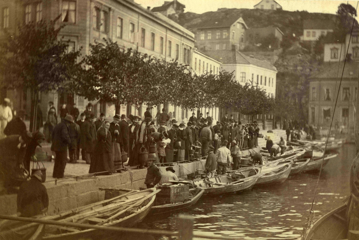 Stedsbilder Arendal
Fiskebryggen - 1884