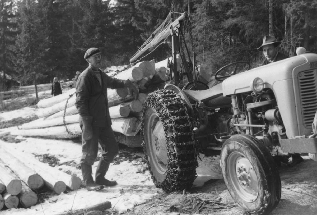 Ole Løken. Skogsdrift med traktor (en Gråtass).