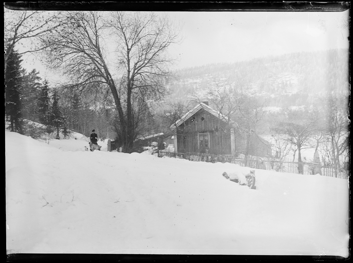 Vinterlandskap. En kvinne med to hunder. En liten hytte/hus ved et tre. En nedsnødd vogn til høyre.