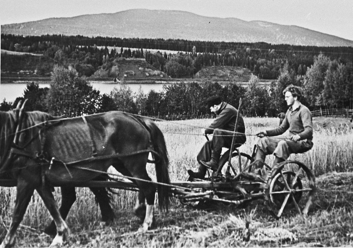 Arbeidstjenesten på Måe på Østsiden i Eidsvoll. Arbeidstjenesten var først frivillig. Den ble innført av Administrasjonsrådet først i juni 1940. Ble pliktig for menn fra våren 1941 og pliktig for kvinner fra juni 1942.