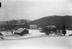 Gårdsbruk i vinterlandskap.