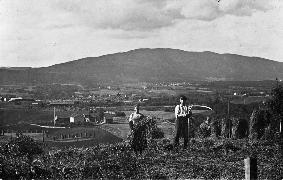 Utsikt mot Mistberget fra Skakkland. Røkholt til venstre og Måe gård til høyre.