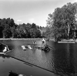 Badeliv ved "Stilla" i Nydalen, .juli 1961.