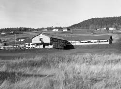 Aldershjemmet med "Hjelen" ovenfor.