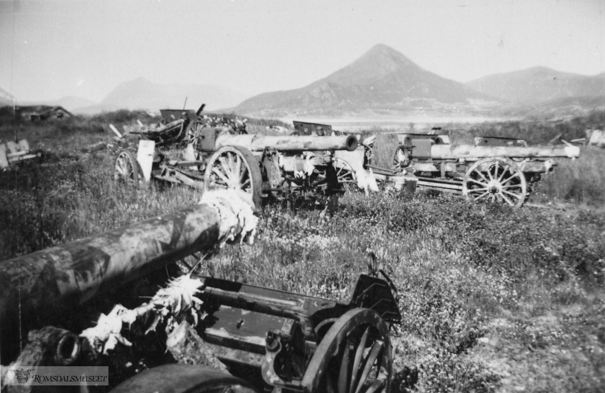 Kanoner som ble samlet opp etter krigen på Tangen..Jendemsfjellet i bakgrunnen.