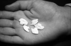 Porting med "kvann". Kvann ble brukt i flere slag barneleike