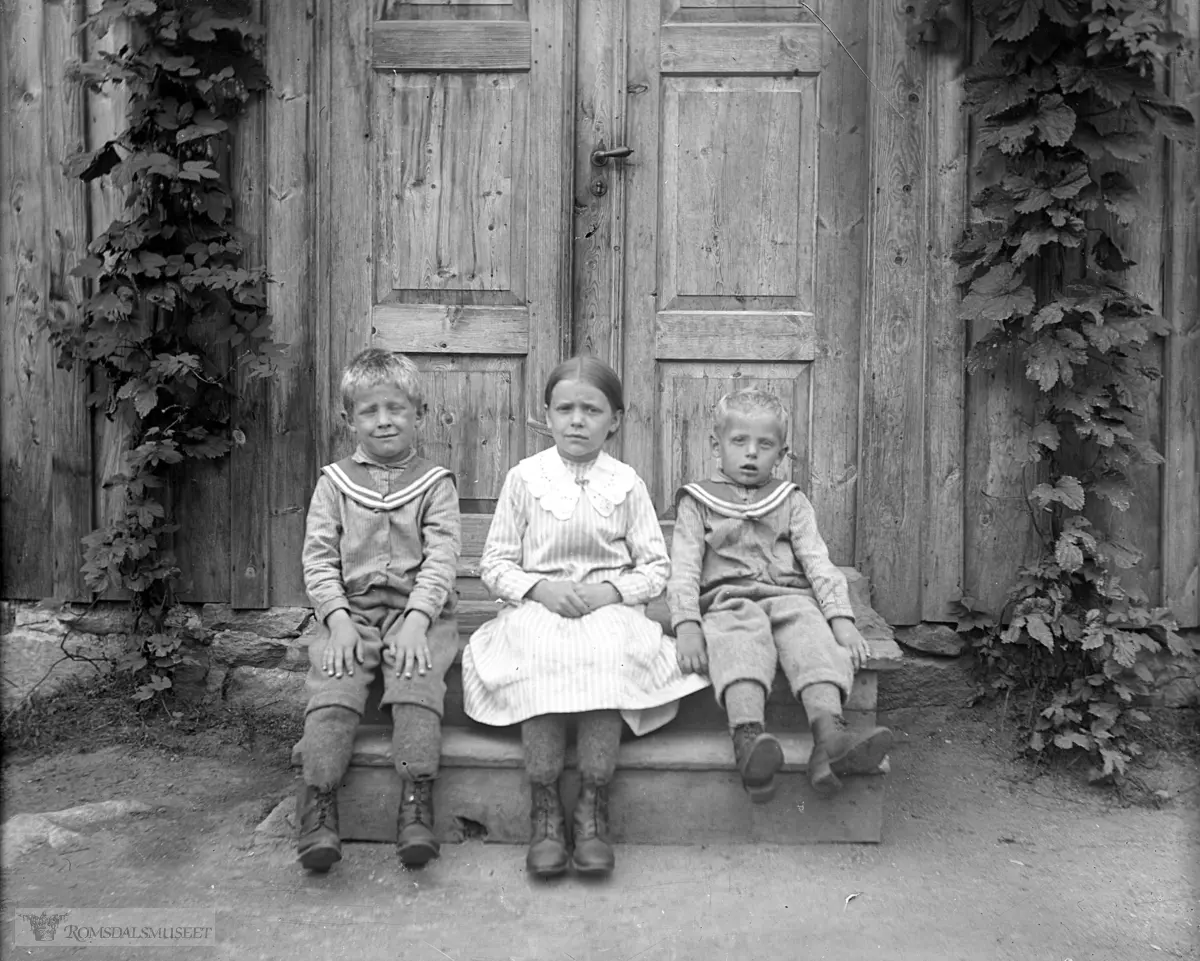 Barna til Knut K Neraas og Kristine Neraas f.Oppigard..De bodde på Utigardsgjerdet omkring 1920.