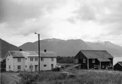 Nr.39. Øyvollskallen. P.Slenes. .(Bilder brukt i "Gards- og 