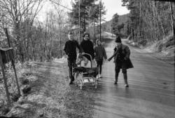 "Høsten 1964. Rognebærsplukking ved Mekvatnet. Tur til Kring