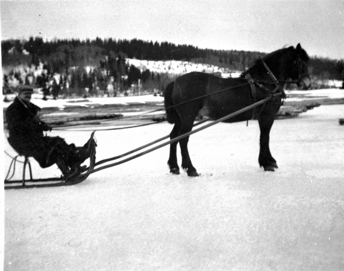Hest og slede på Mjøsisen. Thor Bjerke med hesten Fridtjov.