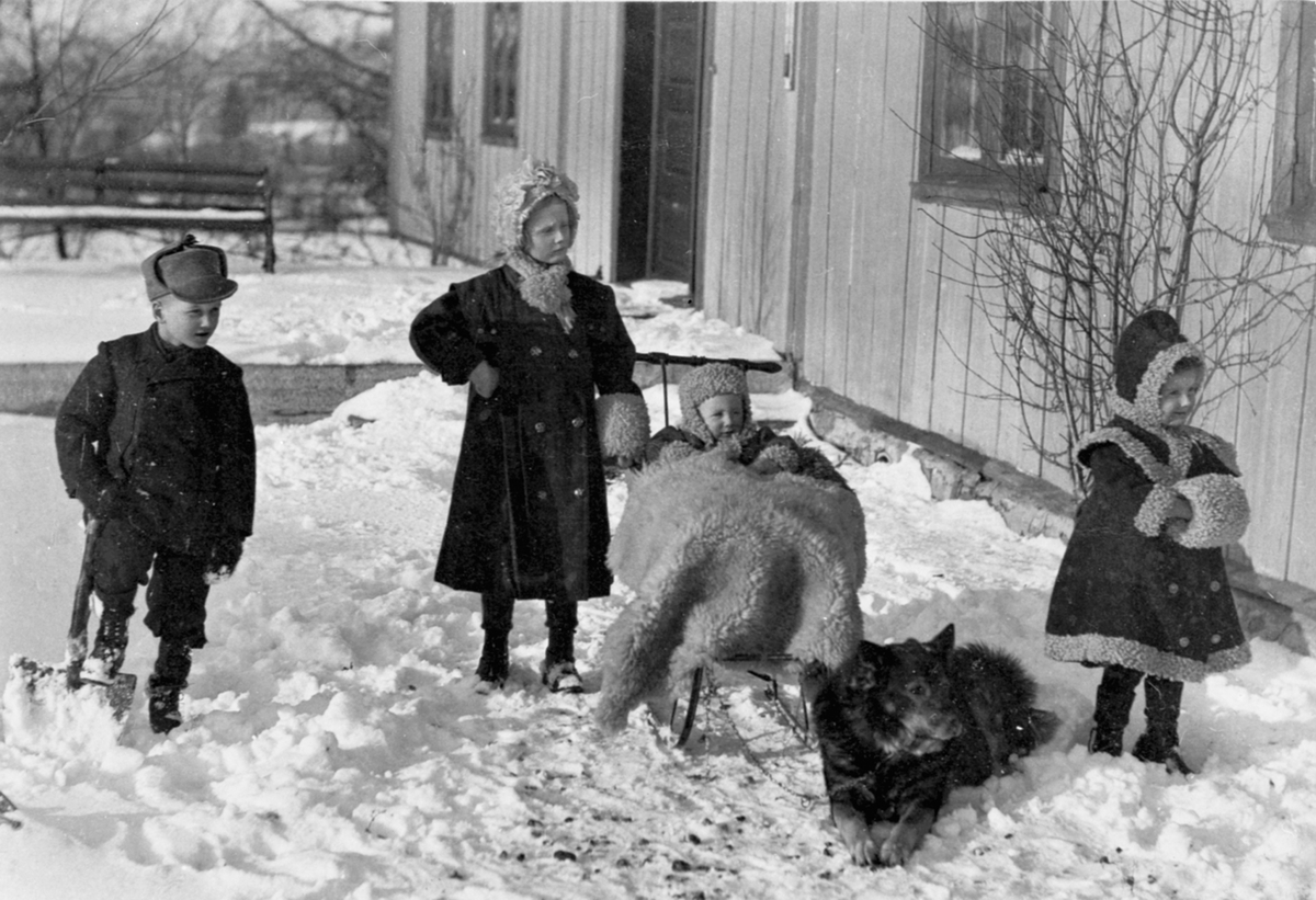 Barna til Thore Bjerke på Nederkvern gård, Brumunddal. Leker utendørs i snøen ved verandaen sammen med hund.