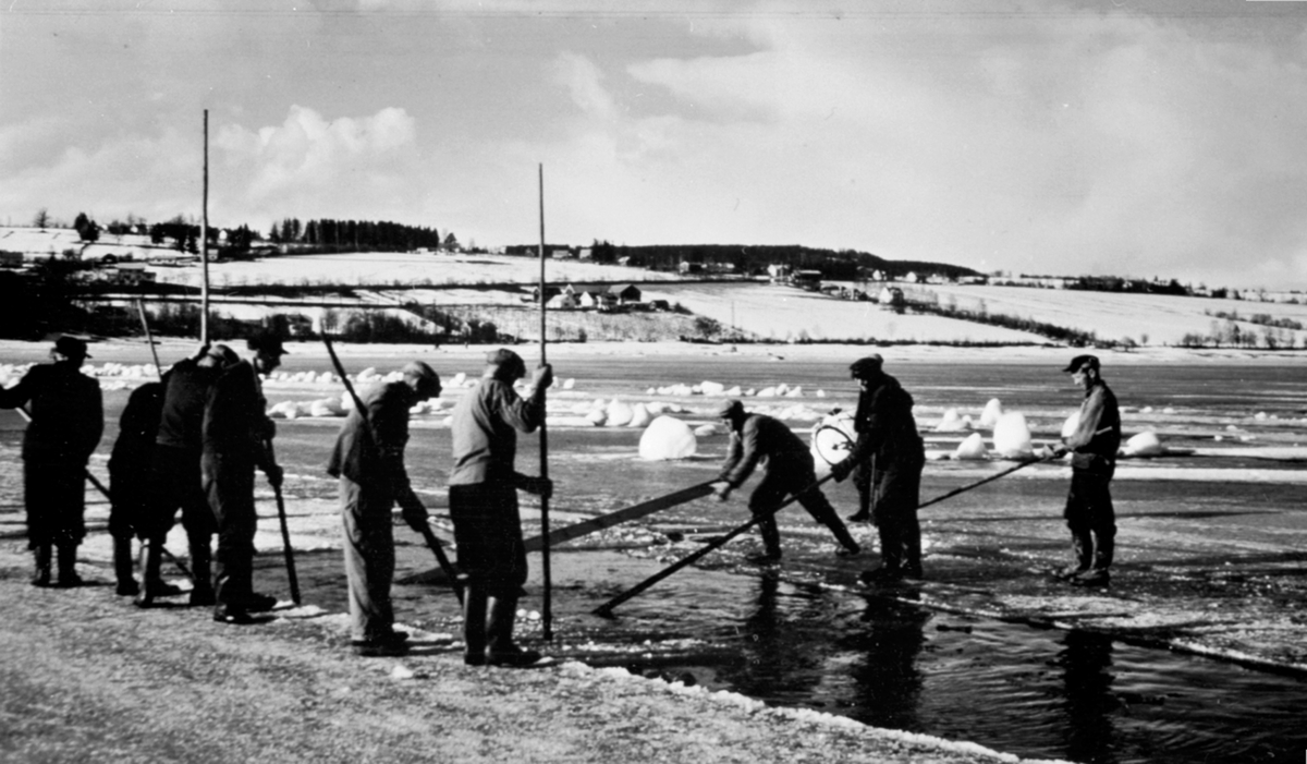 9 mann lager råk i isen for ferja mellom Nes og Helgøya. Isflakene dyttes innunder isen.