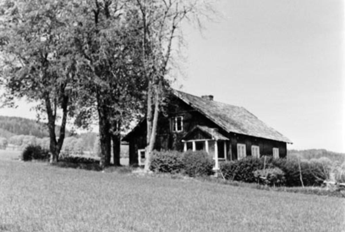 Eksteriør. Husmannsplassen Bekken, Grefsheim, Nes, Hedmark.