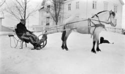 HEST MED SLEDE FORAN HOVEDBYGNINGEN, KUSK, VINTER, ÅLSTAD GÅ