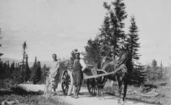HEST MED KJERRE PÅ VEG TIL SETERS, GUNDA GRØHOLT MED SYKKEL,