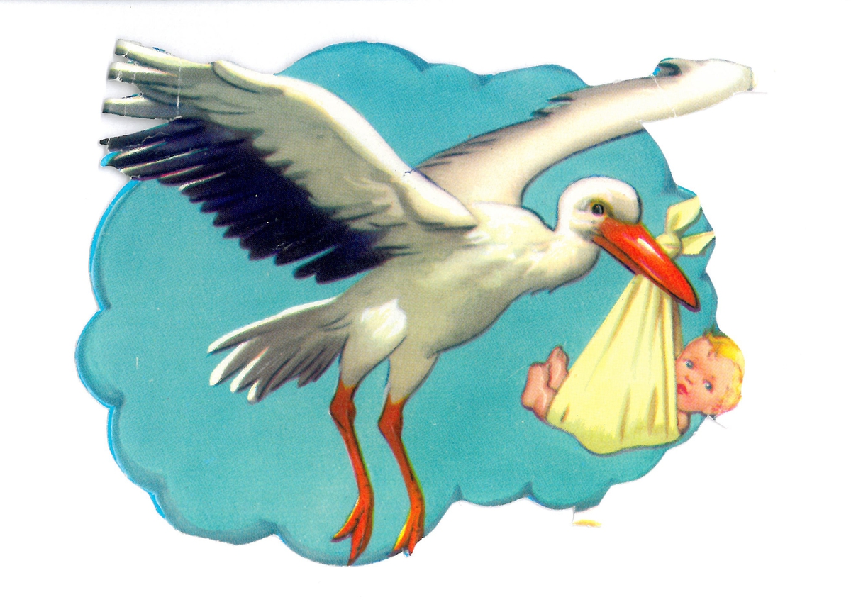 Flyvende stork som kommer med en baby