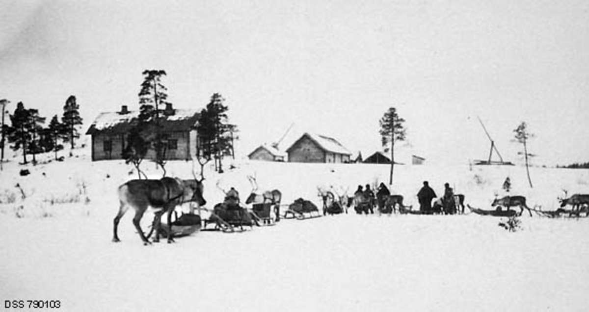 Fra forstlig befaring i norsk-finske grensetrakter i Pasvik i Finnmark i mars 1923.  Med på denne befaringa var den norske skogdirektøren (som har tatt fotografiet), skoginspektøren "i det Nordlandske" samt de skogfunksjonærene som forvaltet statens utmarksinteresser i denne regionen.  Her ser vi reisefølget, som denne dagen besto av 10-11 reinsdyr med pulker og sleder samt seks mann.  Menneskene og trekkdyra er samlet på ei snødekt flate i forgrunnen.  På bakkekammen i bakgrunnen lå et gardstun med laftete bygninger, et våningshus til venstre, økonomibygninger sentralt i bildet og ei brønmnvippe til høyre.  Dette bruket var også finsk grensestasjon, og det gikk under navnet Höyhenjärvi.