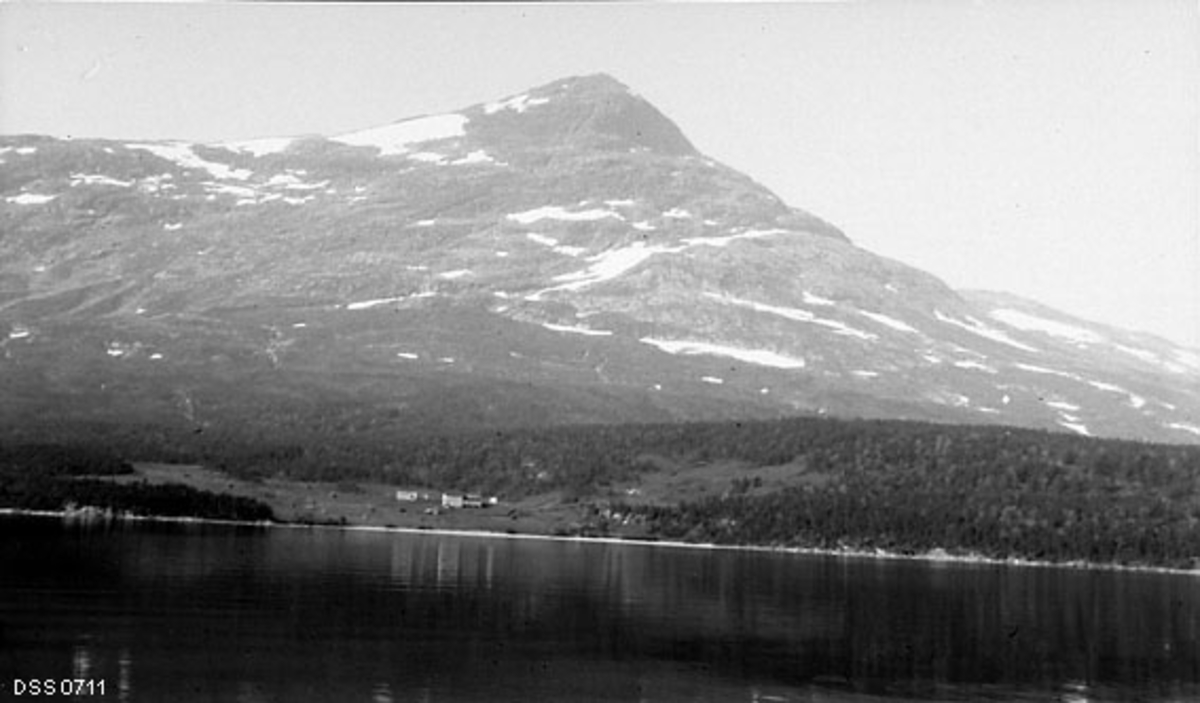 Landskapsfotografi fra Hattfjelldal.  I forgrunnen Røsvatnet.  På motsatt bredd ses en skogkledd ås der garden Kjerringneset med omliggende engareal danner en lysning.  I bakgrunnen ses fjellet Kjerringtind med snøstrimer. 