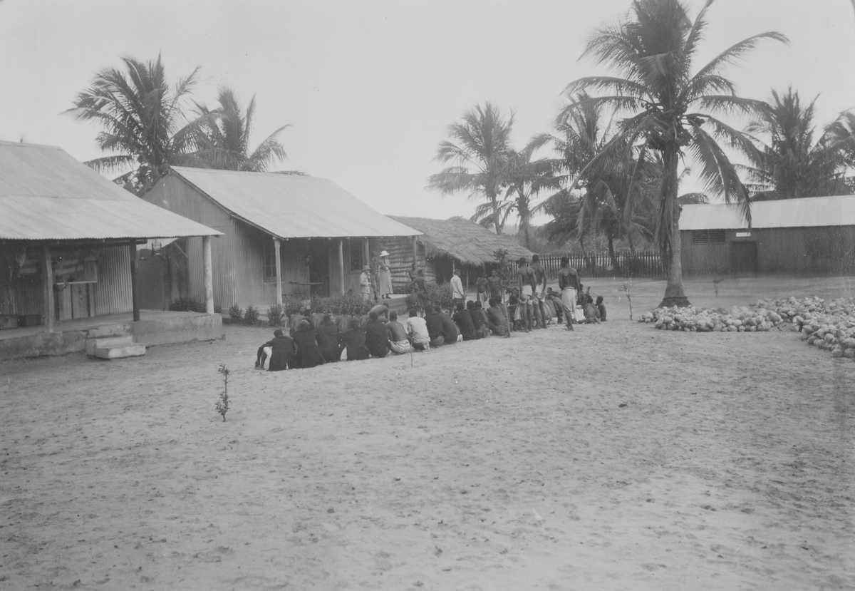 Mosambik. 1914. Fra en kokosplantasje i Quelimane-distriktet.