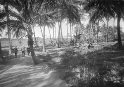 Mosambik 1914. Fra en prazo som tilhører plantasjeselskapet 
