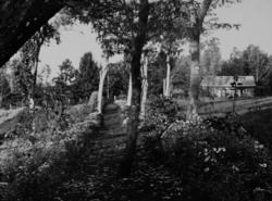 Hage med et mindre hus i bakgrunnen. Kenya?