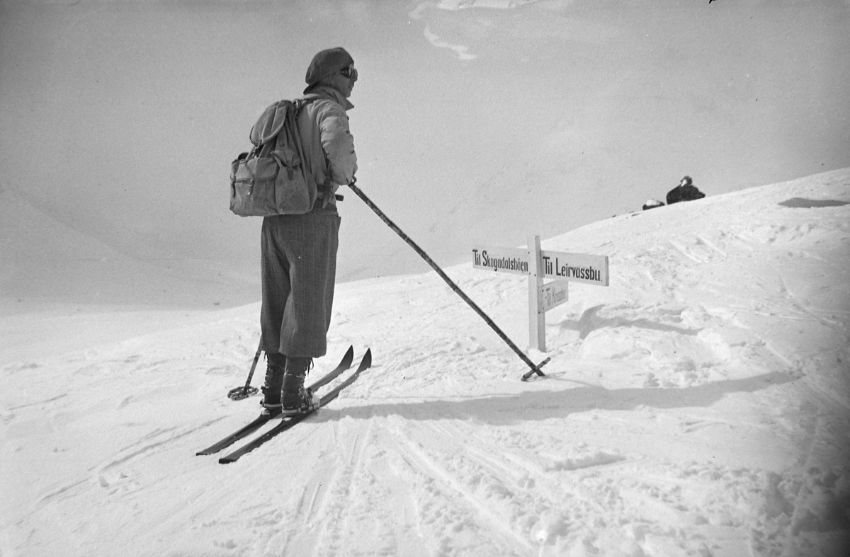 Skitur i Jotunheimen. Veiviser til Leirvassbu, Skogadalsbøen og Krossbu
