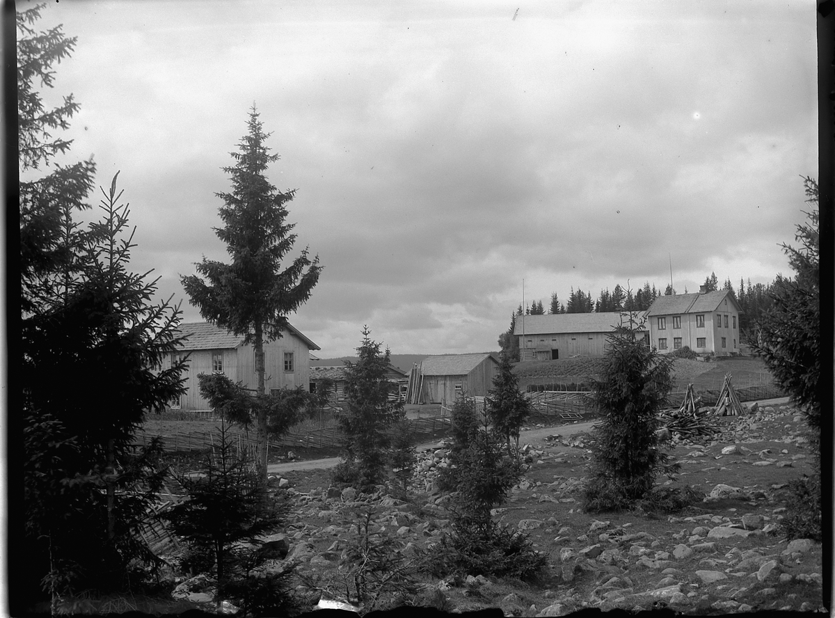Ringsaker, Sør-Mesna, fra venstre Bergundhaugen søndre og bak Bergundhaugen nordre
