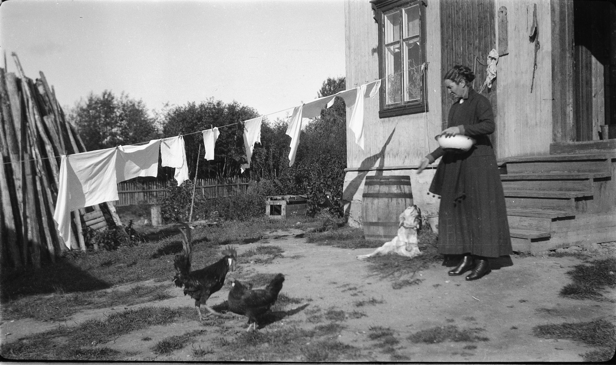Kvinne mater høns på gårdsplassen. 