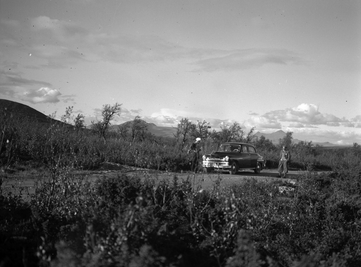 To menn på biltur i fjellet. Dodge eller Plymouth 1949-52. 