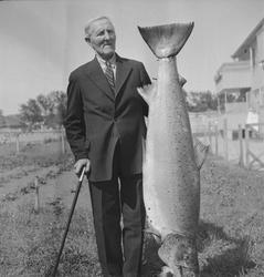 Even Vallan med laks på 25 kilo