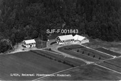 "1/814.  Reiersøl Planteskole.  Blakstad."