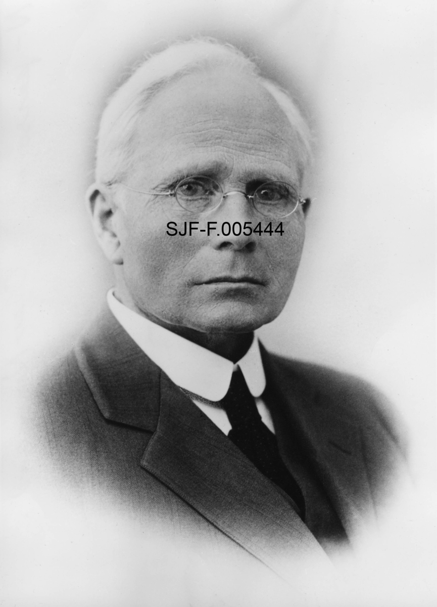 Portrett av Olav [Peter] Nergaard (1861-1934), gardbruker og skogeier på Søstu Glomstad i Åmot i Hedmark.  Bildet er tatt i et fotografisk studio.  Nergaard var kledd i mørk dressjakke, kvit skjorte og hadde et mørkt, antakelig svart, slips. Han hadde briller med metallinnfatning og hvitt hår på opptakstidspunktet, som kanskje kan ha vært en gang i første halvdel av 1920-åra, da Nergaard var om lag 60 år gammel. 

En kort biografi om Olav Nergaard finnes under fanen "Andre opplysninger". 