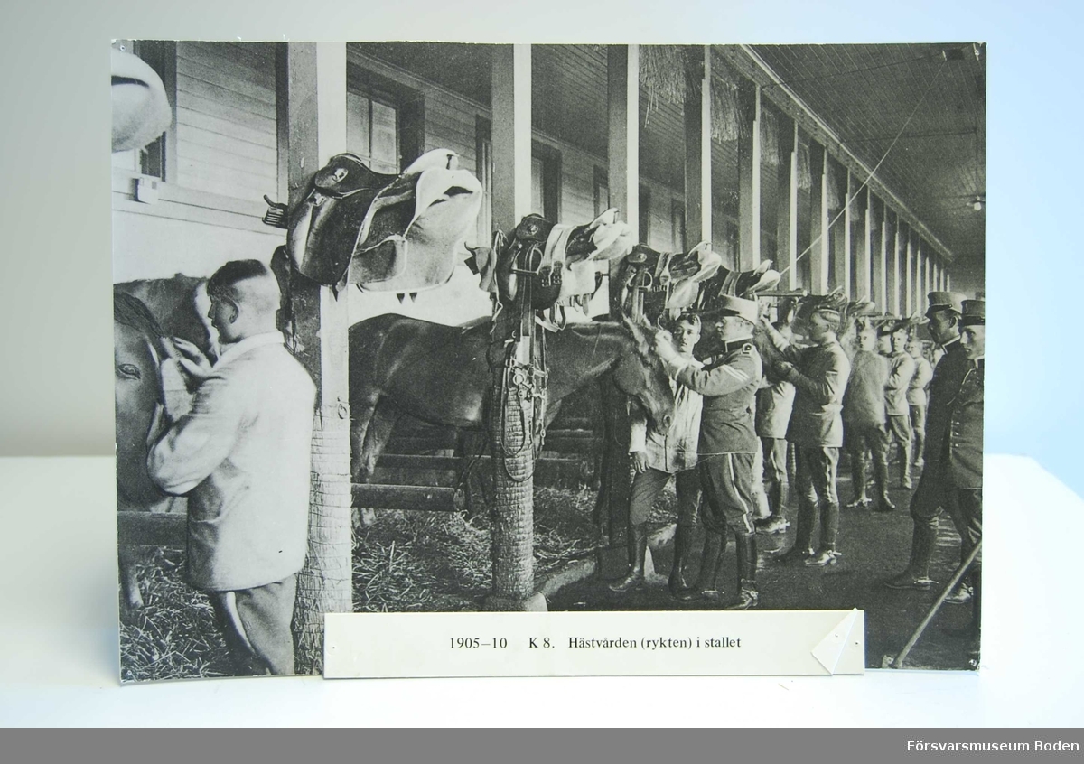 Interiör från stallet med hästarna uppställda för befälens visitation