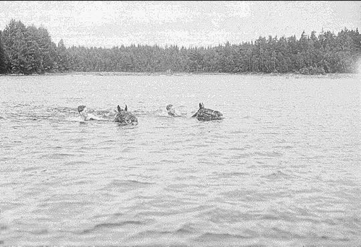 Patrullfälttävlan till häst 1934, övergång av Vristulven. - Karlsborgs ...