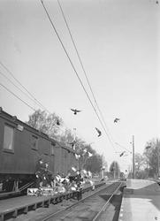 Dueslipp på stasjoner på Onsøy eller Råde stasjon
