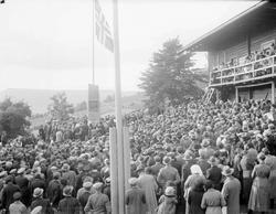 Avduking av Bjørnsonbauta på Aulestad.