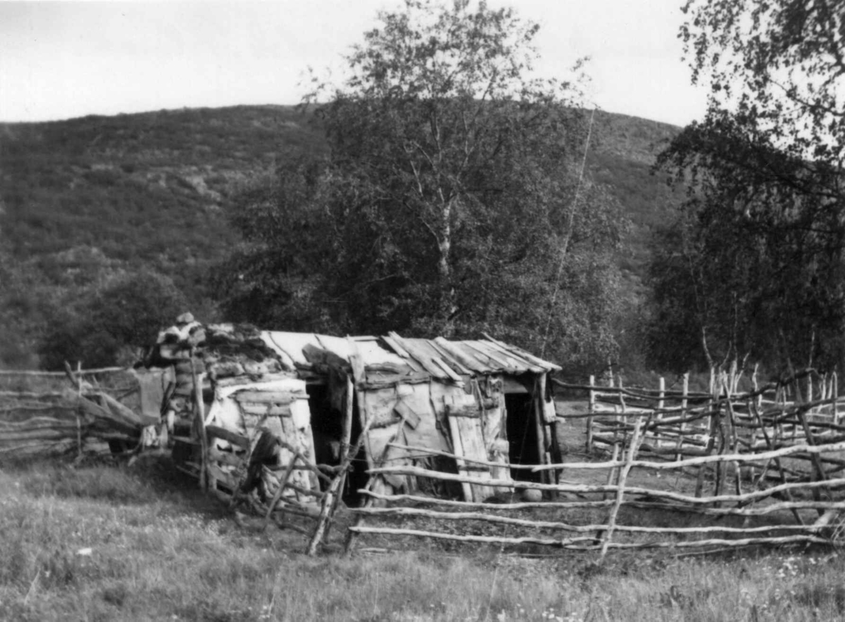 Inngjerdet sommerfjøs med to innganger, Levajokgiedde 1952.