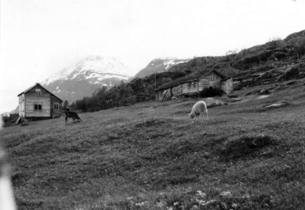 Bebyggelse på Mellemjord 1948.