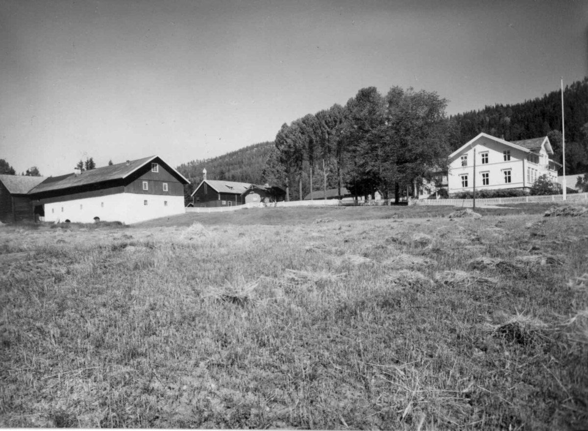 Nedre Sjølie, Rendalen, Hedmark. Storgårdsundersøkelser ved dr. philos. Eivind S. Engelstad 1959. Hovedbygningen og uthus sett fra et jorde.
