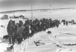 Brudefølge i vinterlandskap, Kautokeino.