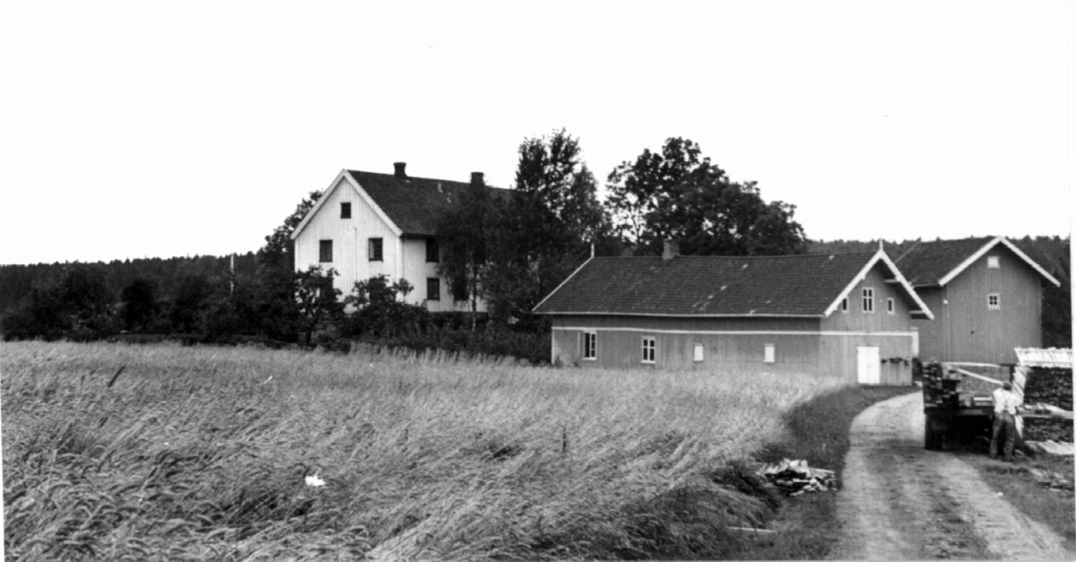 Veidal
Fra dr. Eivind S. Engelstads storgårdsundersøkelser 1954.
